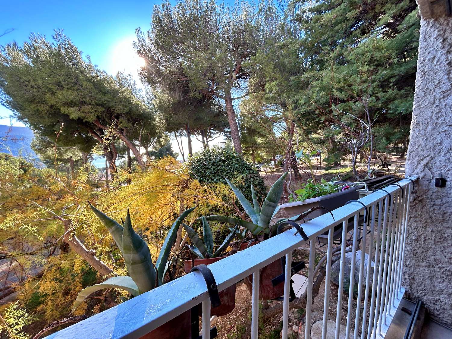  for sale apartment Cassis Bouches-du-Rhône 2