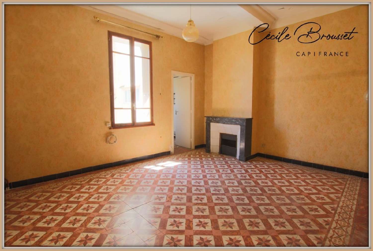  te koop appartement Céret Pyrénées-Orientales 1