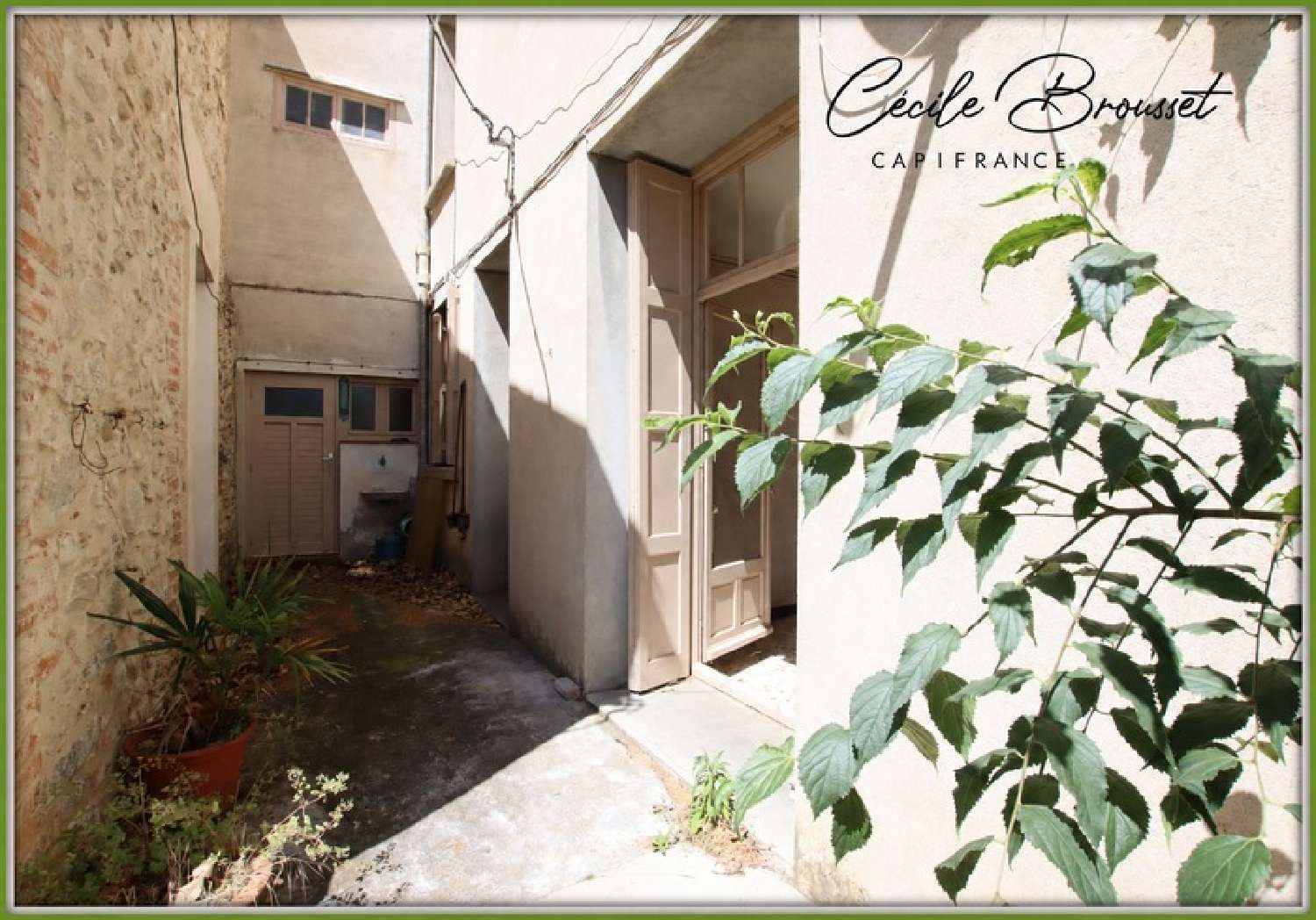 te koop appartement Céret Pyrénées-Orientales 1