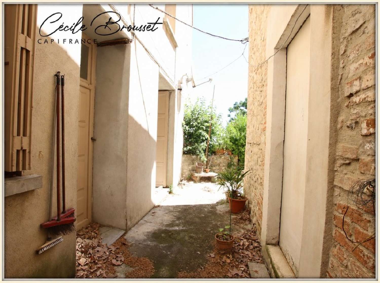  te koop appartement Céret Pyrénées-Orientales 4