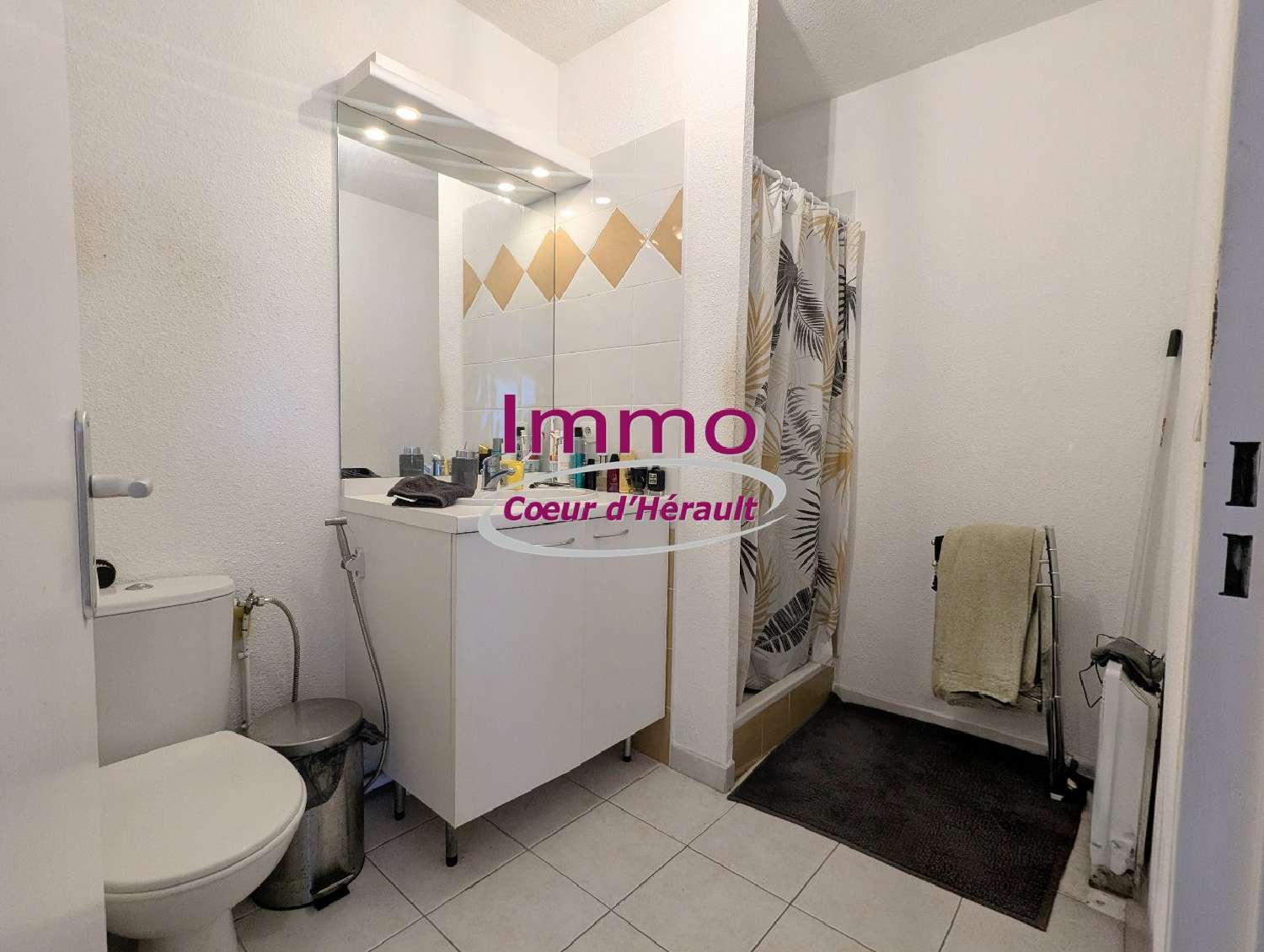  te koop appartement Clermont-l'Hérault Hérault 5