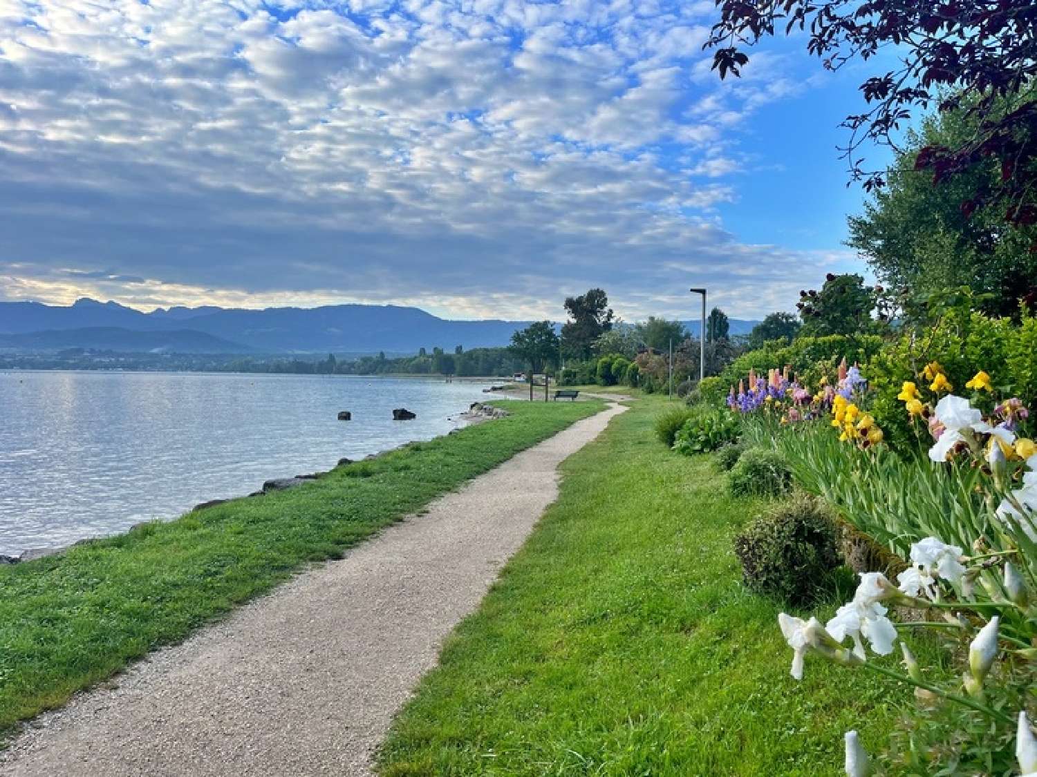  en venta apartamento Excénevex Haute-Savoie 2