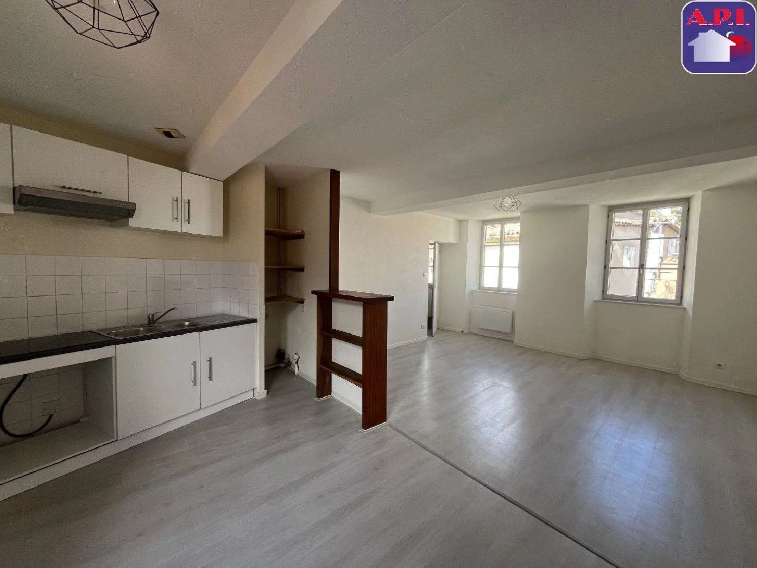  te koop appartement Foix Ariège 1