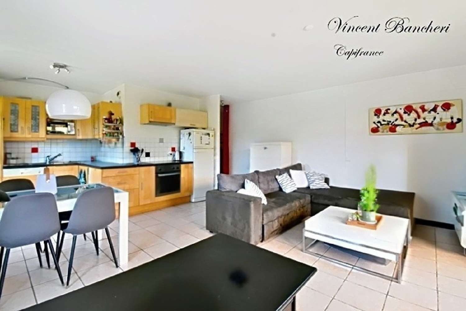 te koop appartement Gaillard Haute-Savoie 1