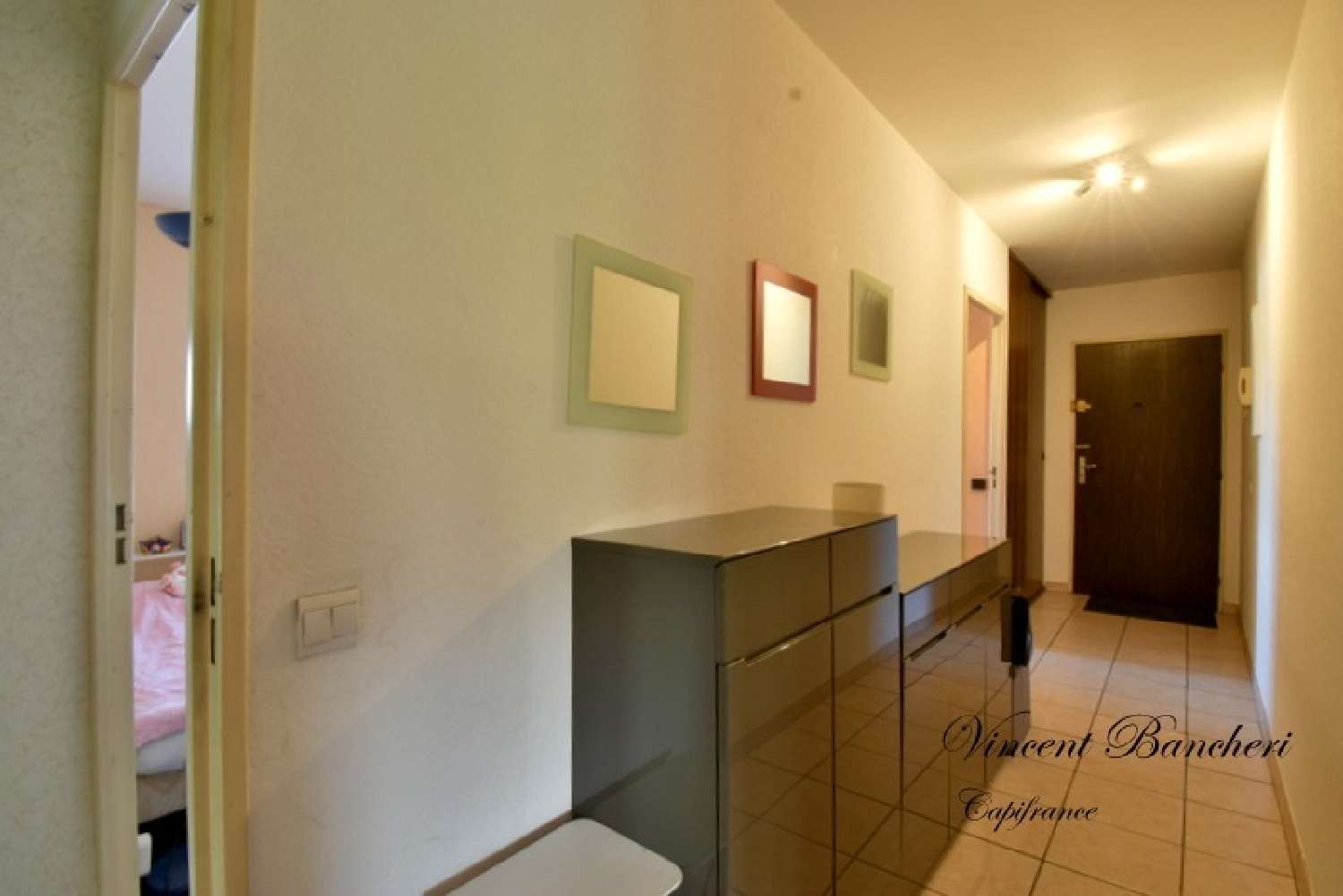 te koop appartement Gaillard Haute-Savoie 3
