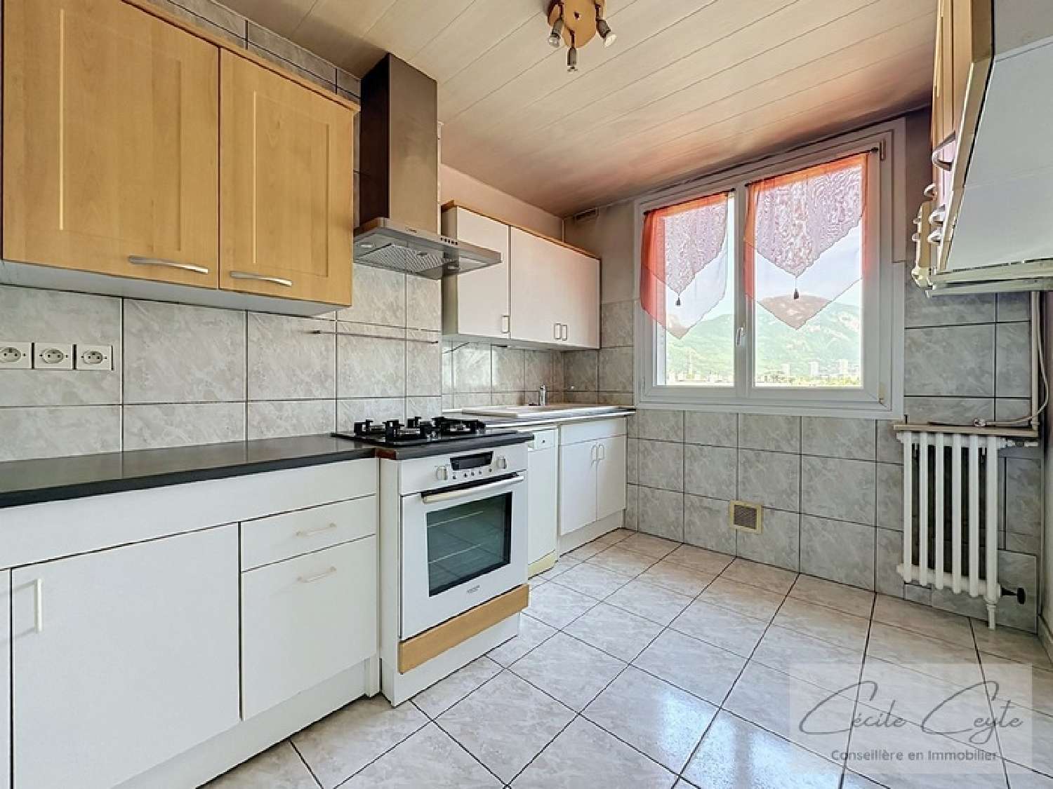  te koop appartement Grenoble 38100 Isère 2