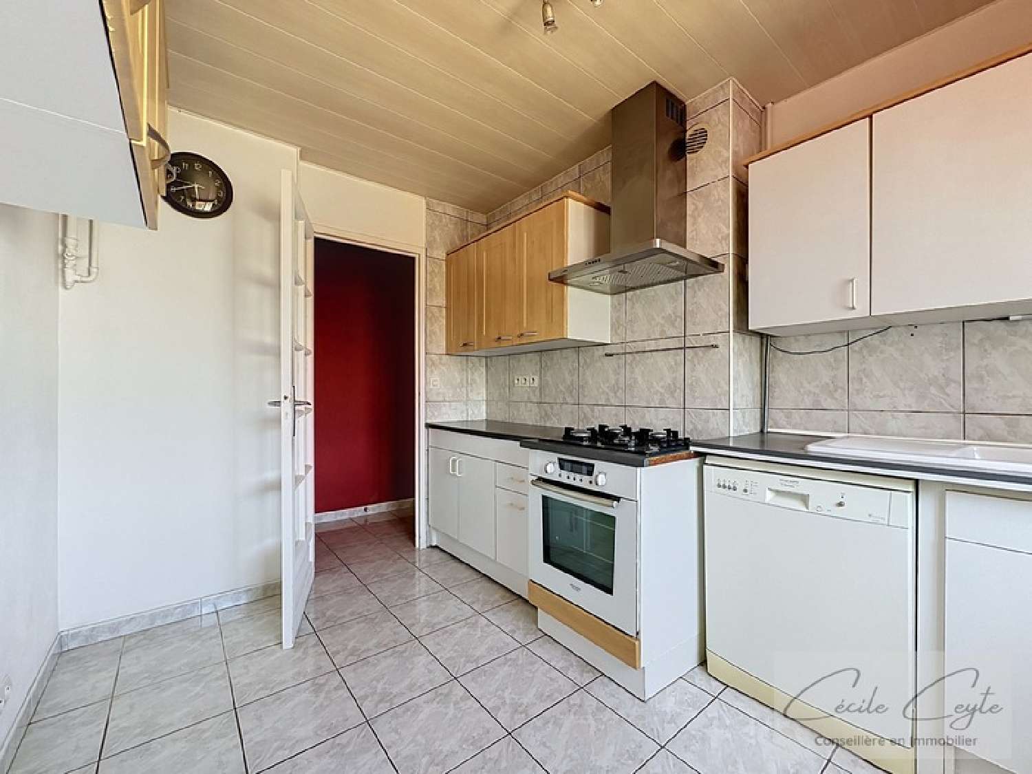  te koop appartement Grenoble 38100 Isère 3