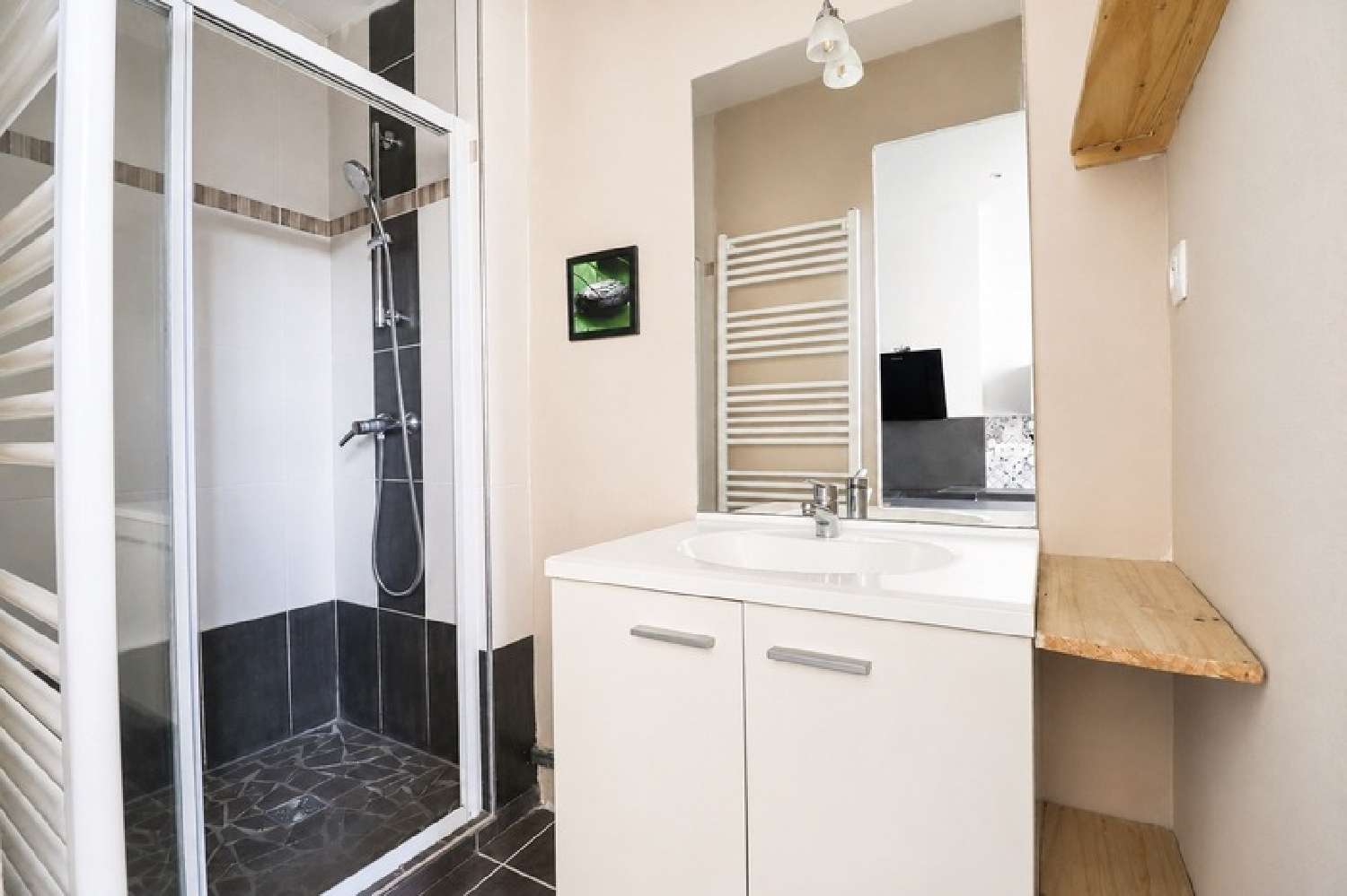  for sale apartment Le Chambon-Feugerolles Loire 2