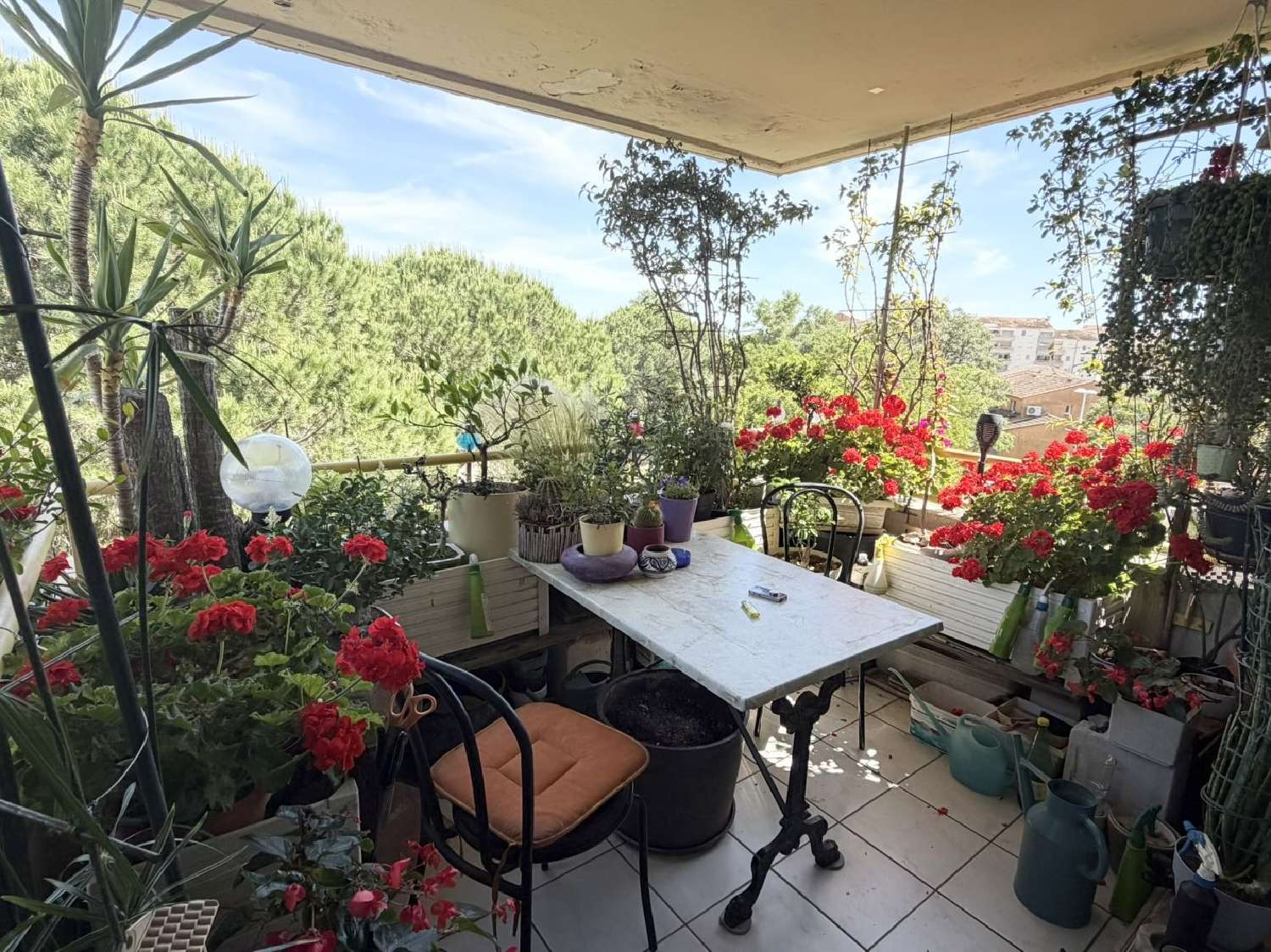  kaufen Wohnung/ Apartment Le Grau-du-Roi Gard 1