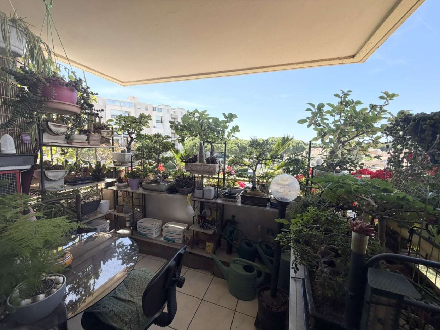  kaufen Wohnung/ Apartment Le Grau-du-Roi Gard 2