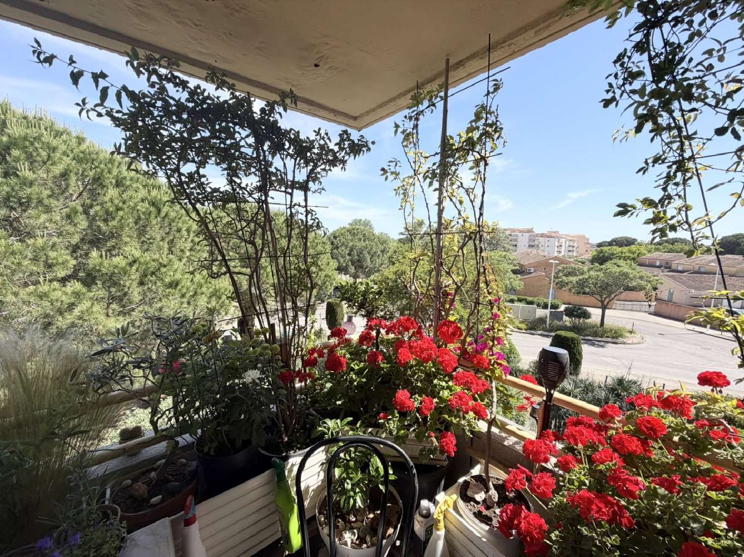  kaufen Wohnung/ Apartment Le Grau-du-Roi Gard 3