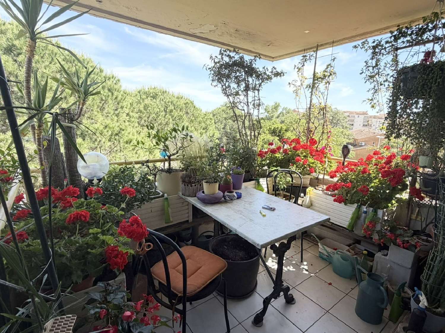 à vendre appartement Le Grau-du-Roi Gard 1