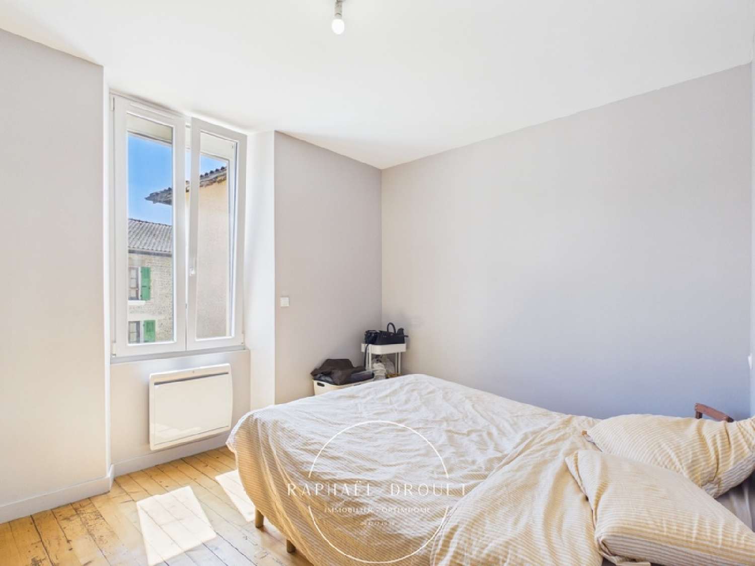  en venta apartamento Moidieu-Détourbe Isère 7
