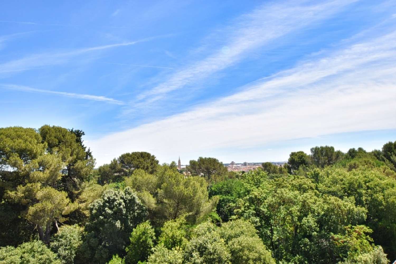 à vendre appartement Montpellier Hérault 2
