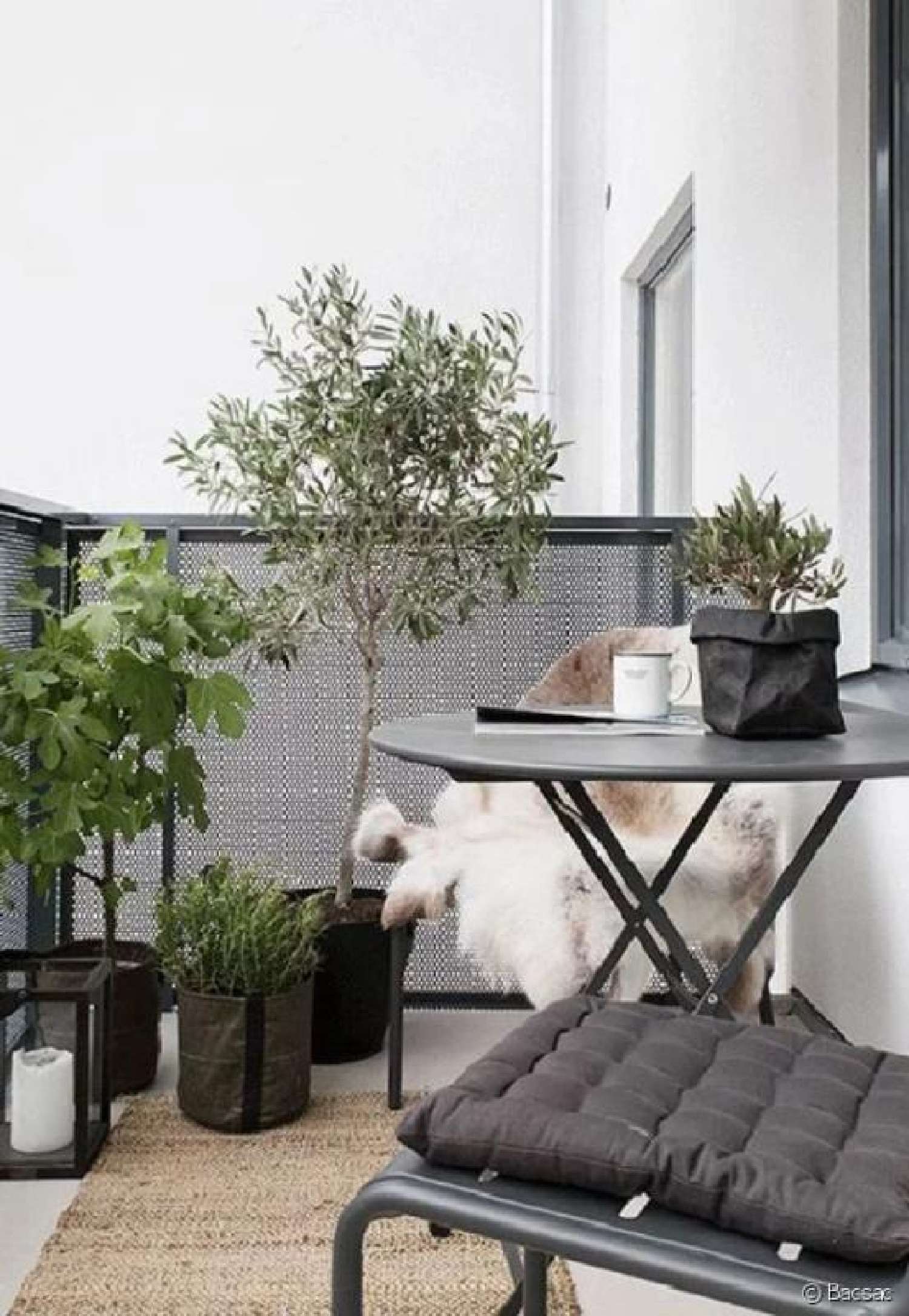  te koop appartement Noisiel Seine-et-Marne 1