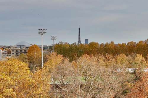Puteaux Hauts-de-Seine Wohnung/ Apartment Bild 7351372