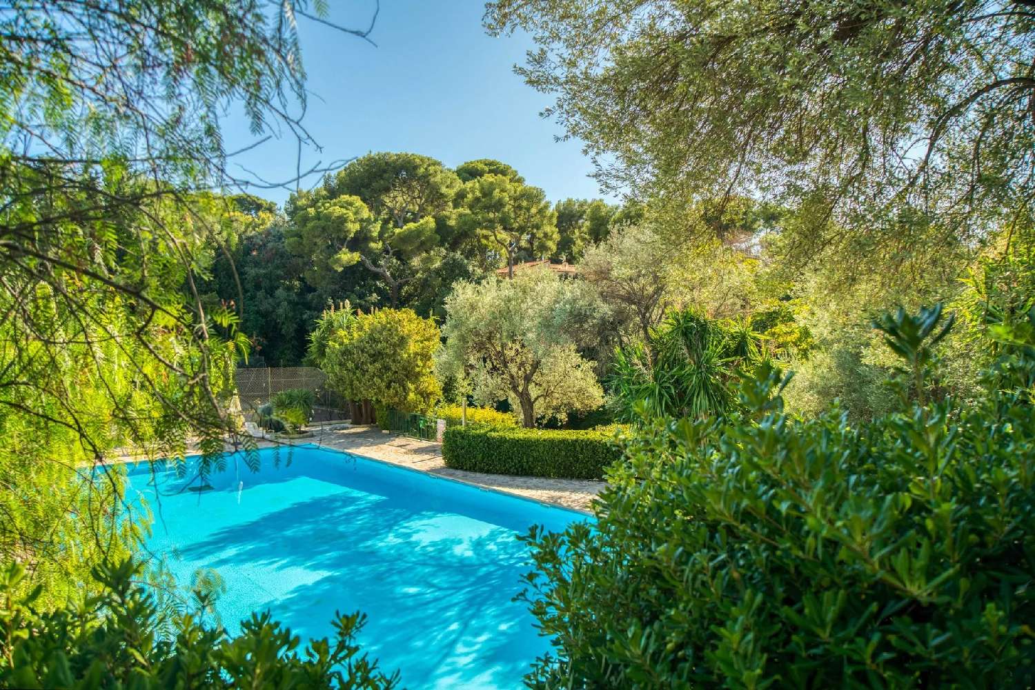  for sale apartment Roquebrune-Cap-Martin Alpes-Maritimes 4