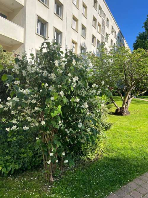 Saint-Cloud Hauts-de-Seine Wohnung/ Apartment Bild 7350211