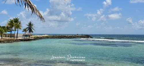 Saint-François Guadeloupe Wohnung/ Apartment Bild 7365602