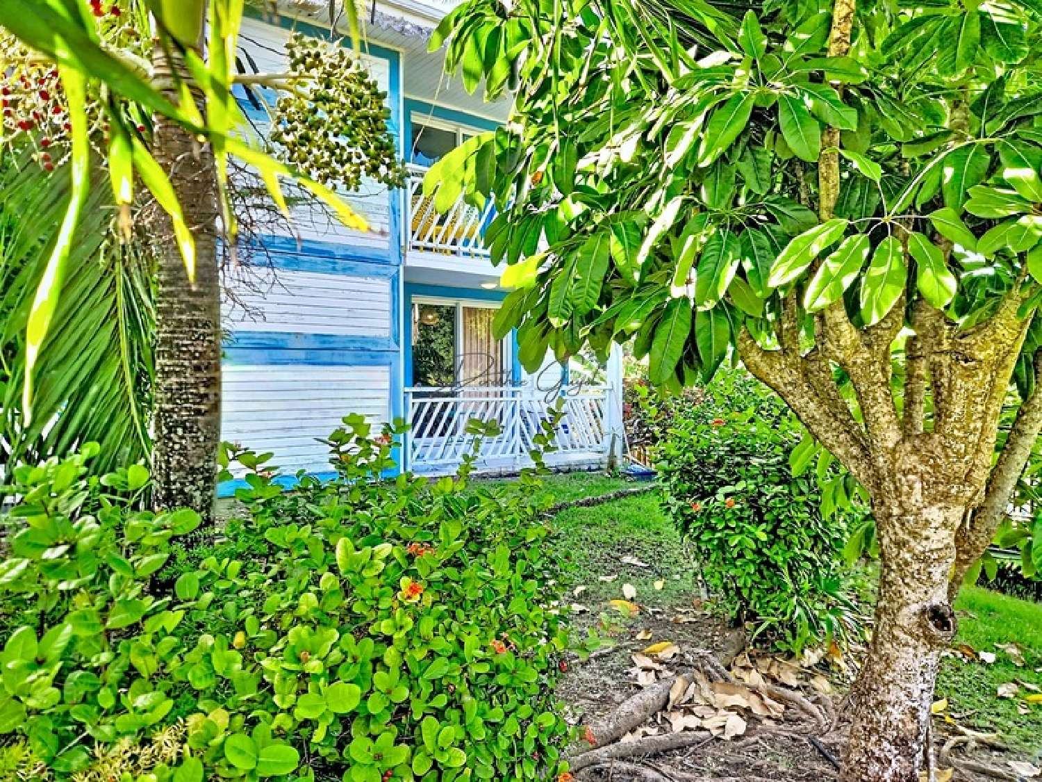 à vendre appartement Saint-François Guadeloupe 4