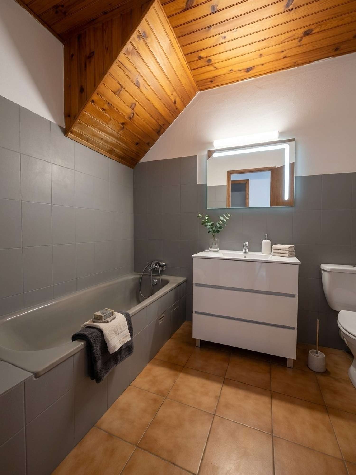  for sale apartment Saint-Georges-d'Orques Hérault 3