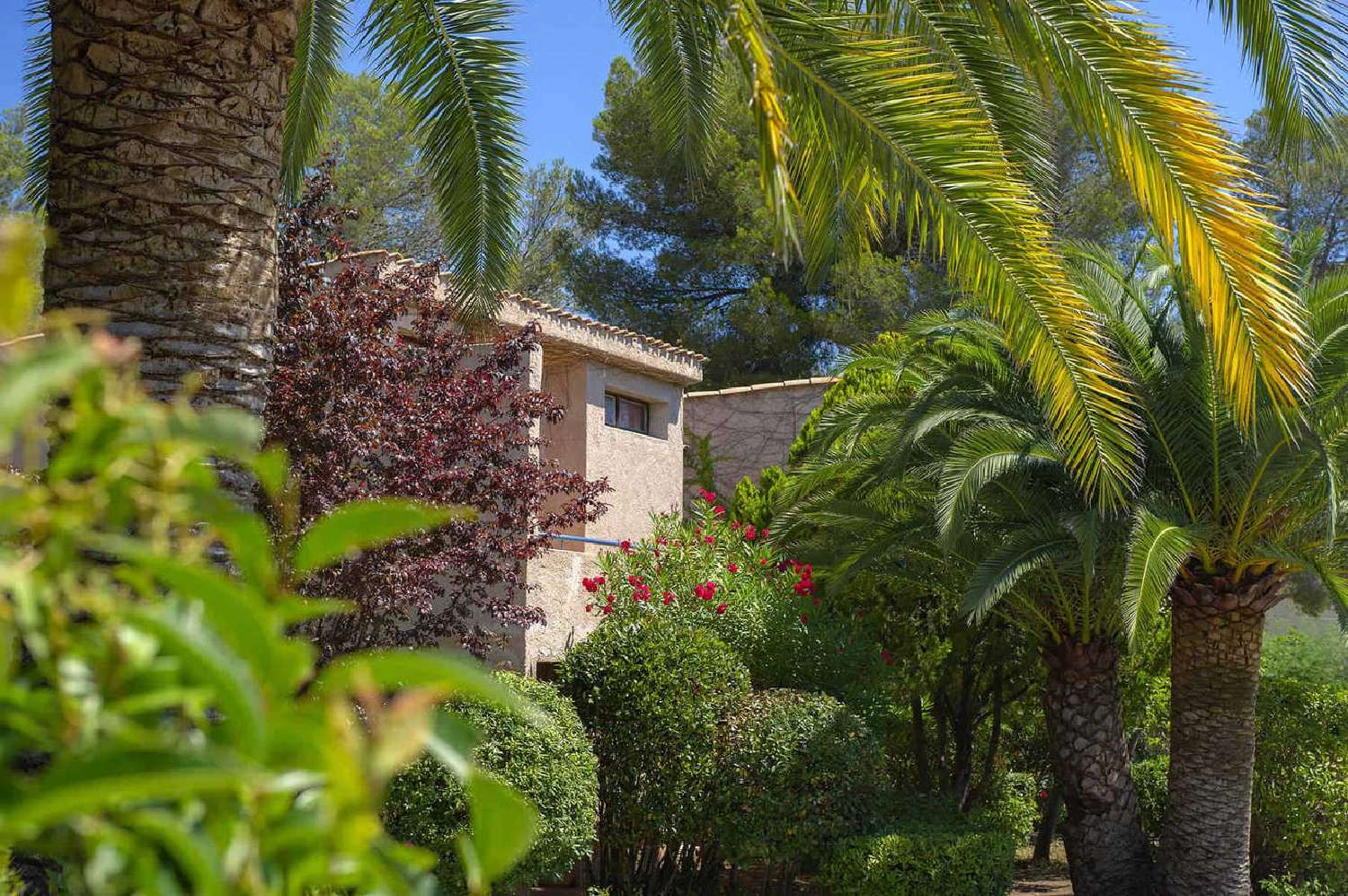  à vendre appartement Saint-Raphaël Var 7