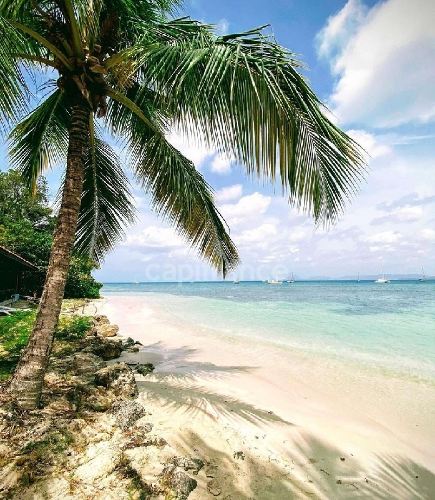  te koop appartement Sainte-Anne Martinique 8