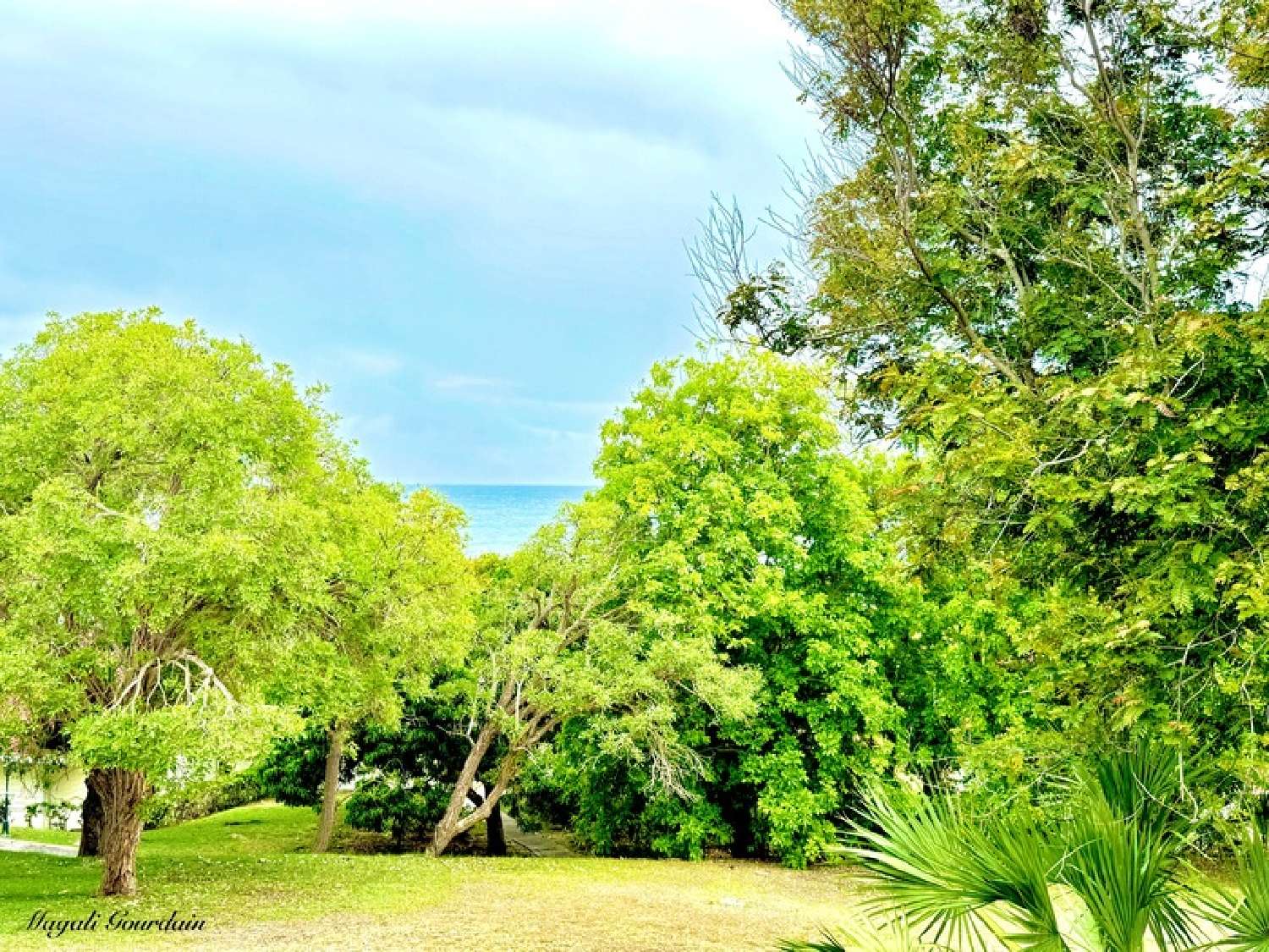 for sale apartment Sainte-Anne Guadeloupe 2