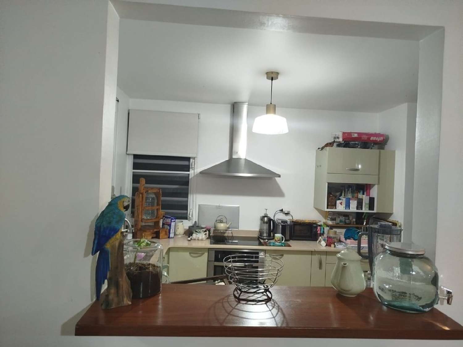 for sale apartment Schœlcher Martinique 6