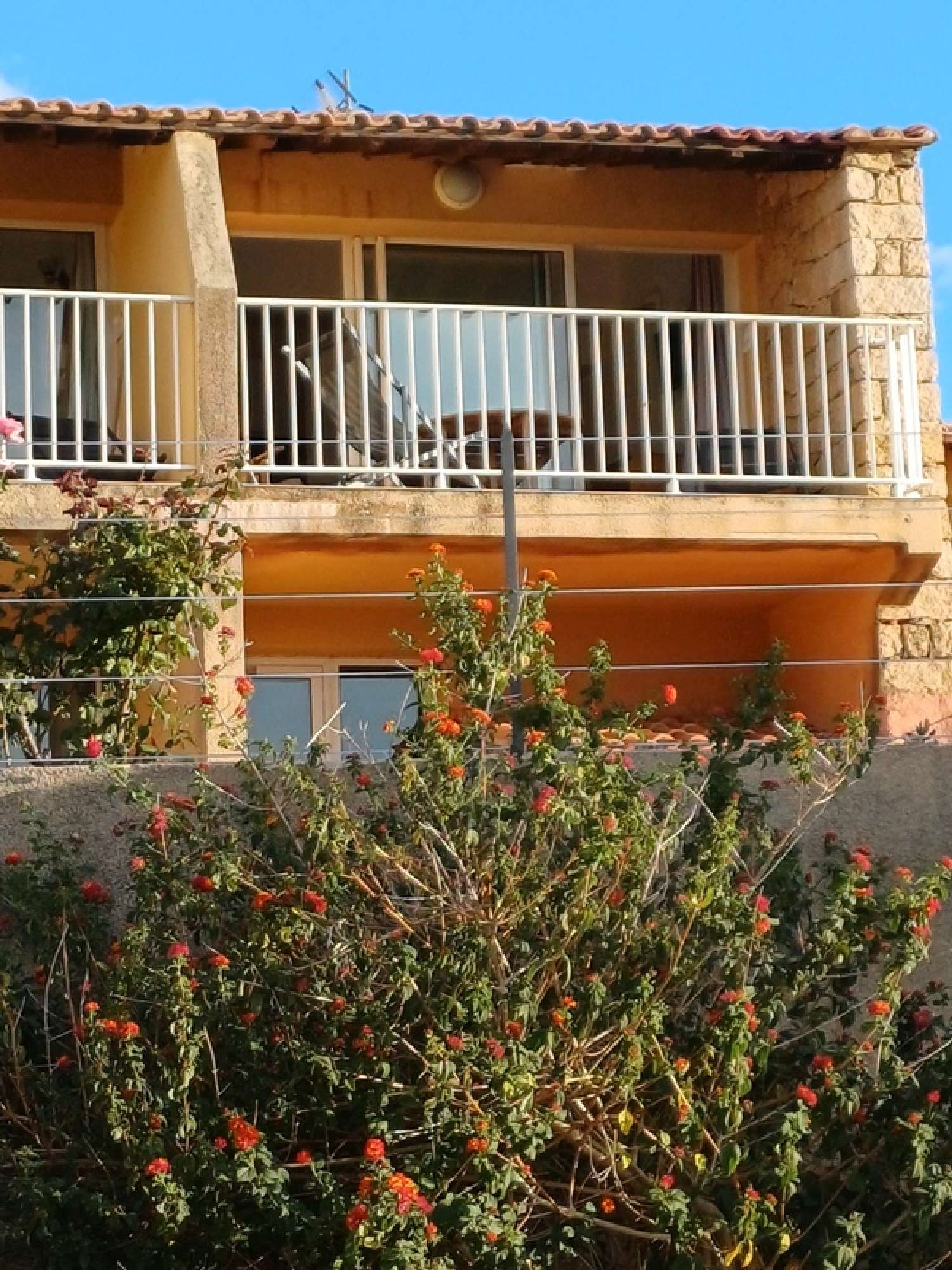  te koop appartement Serra-di-Ferro Corse-du-Sud 1