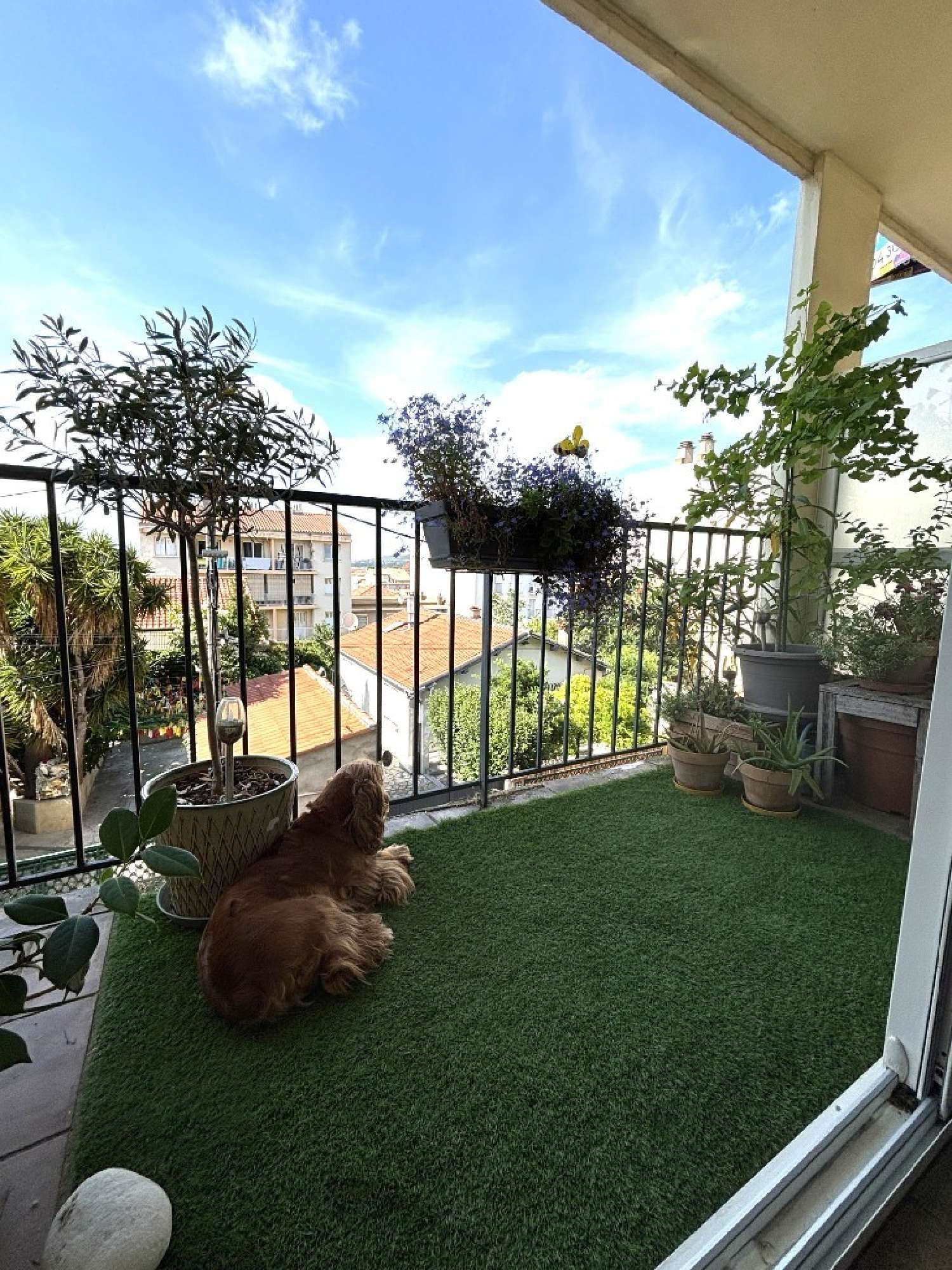 kaufen Wohnung/ Apartment Sète Hérault 3
