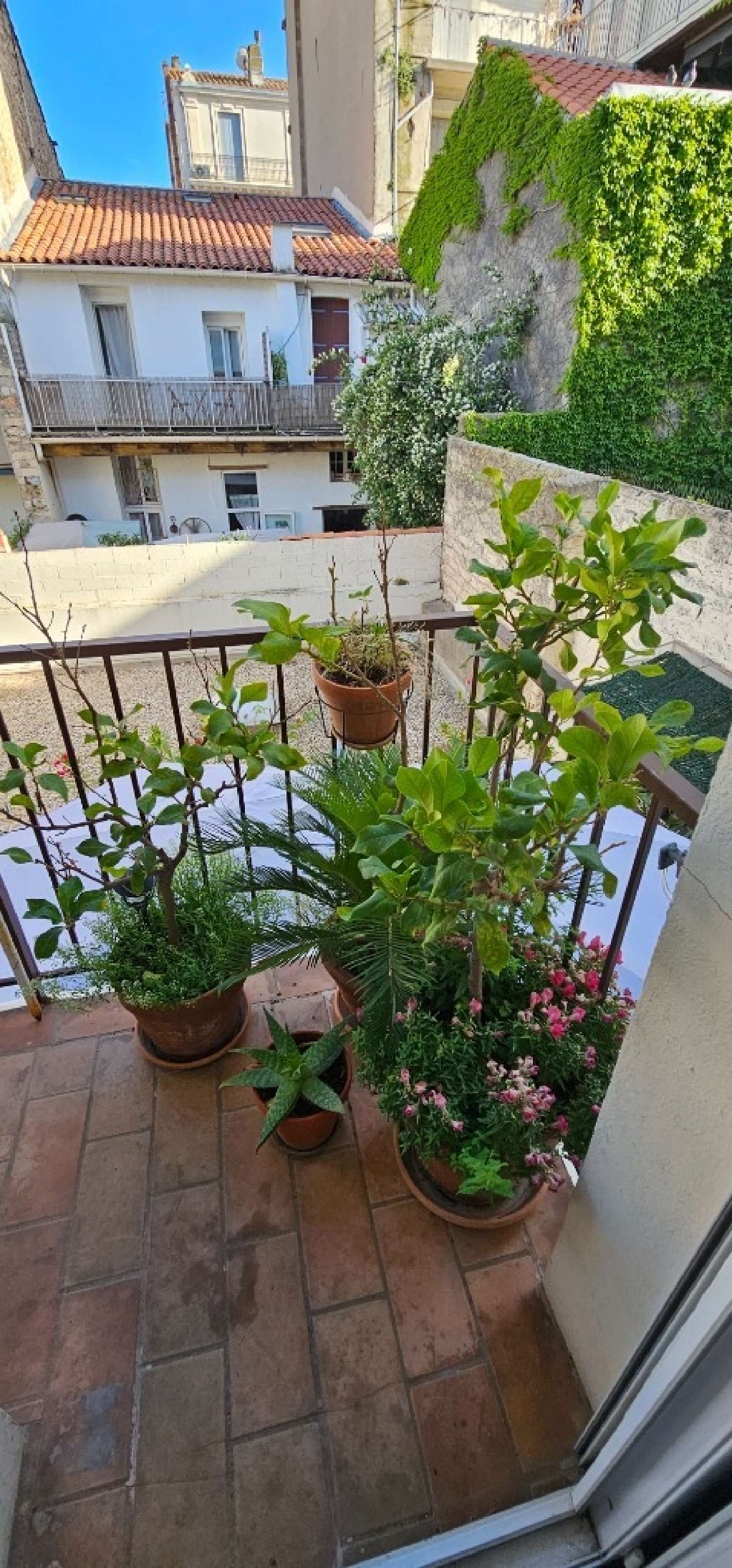 kaufen Wohnung/ Apartment Sète Hérault 4