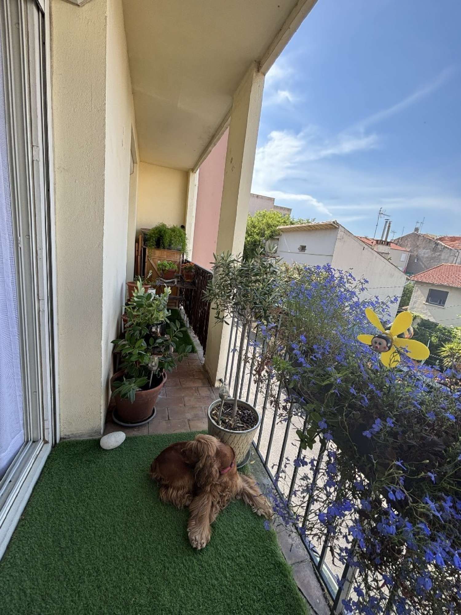 kaufen Wohnung/ Apartment Sète Hérault 5