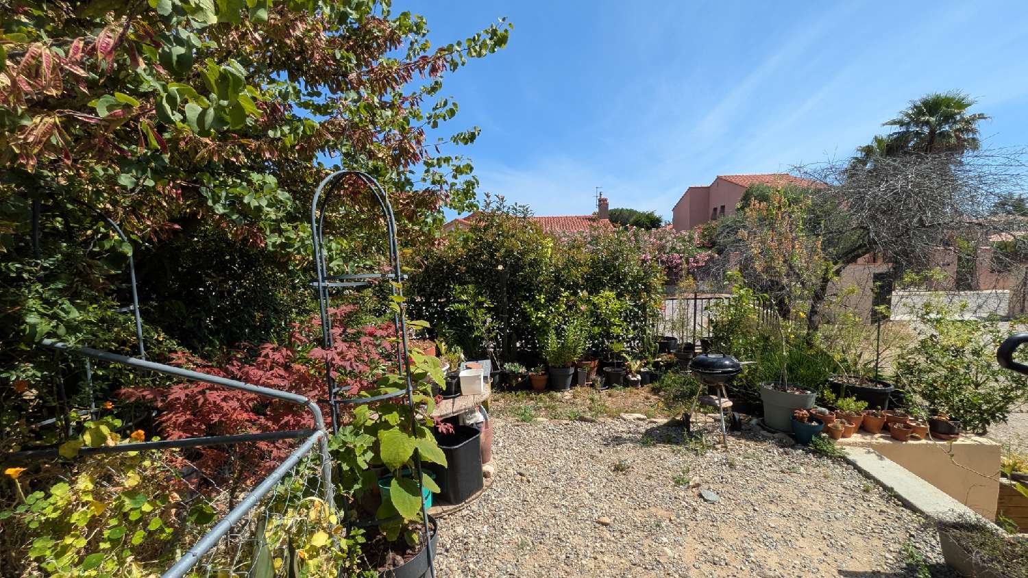  te koop appartement Sorède Pyrénées-Orientales 3