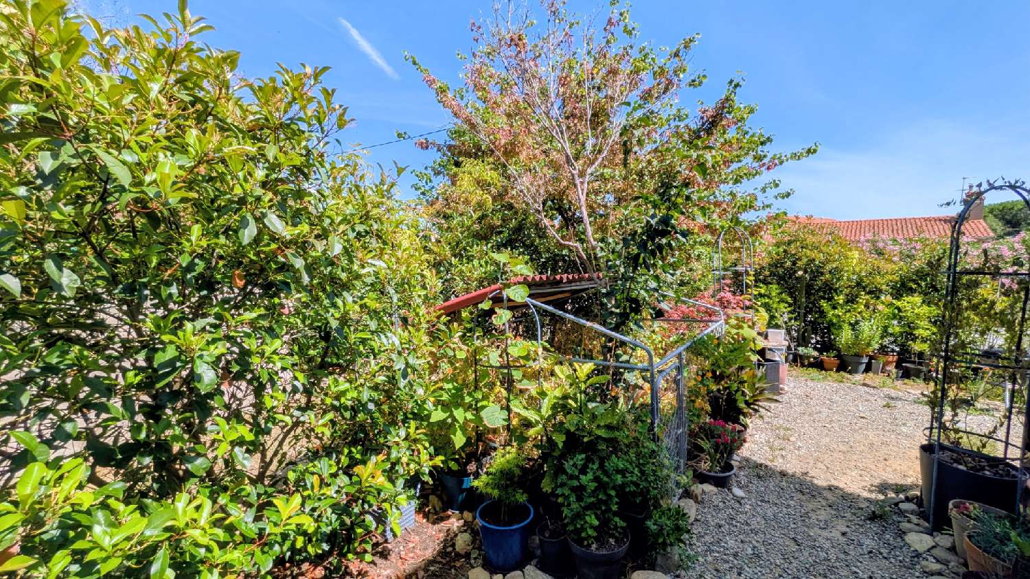  te koop appartement Sorède Pyrénées-Orientales 4