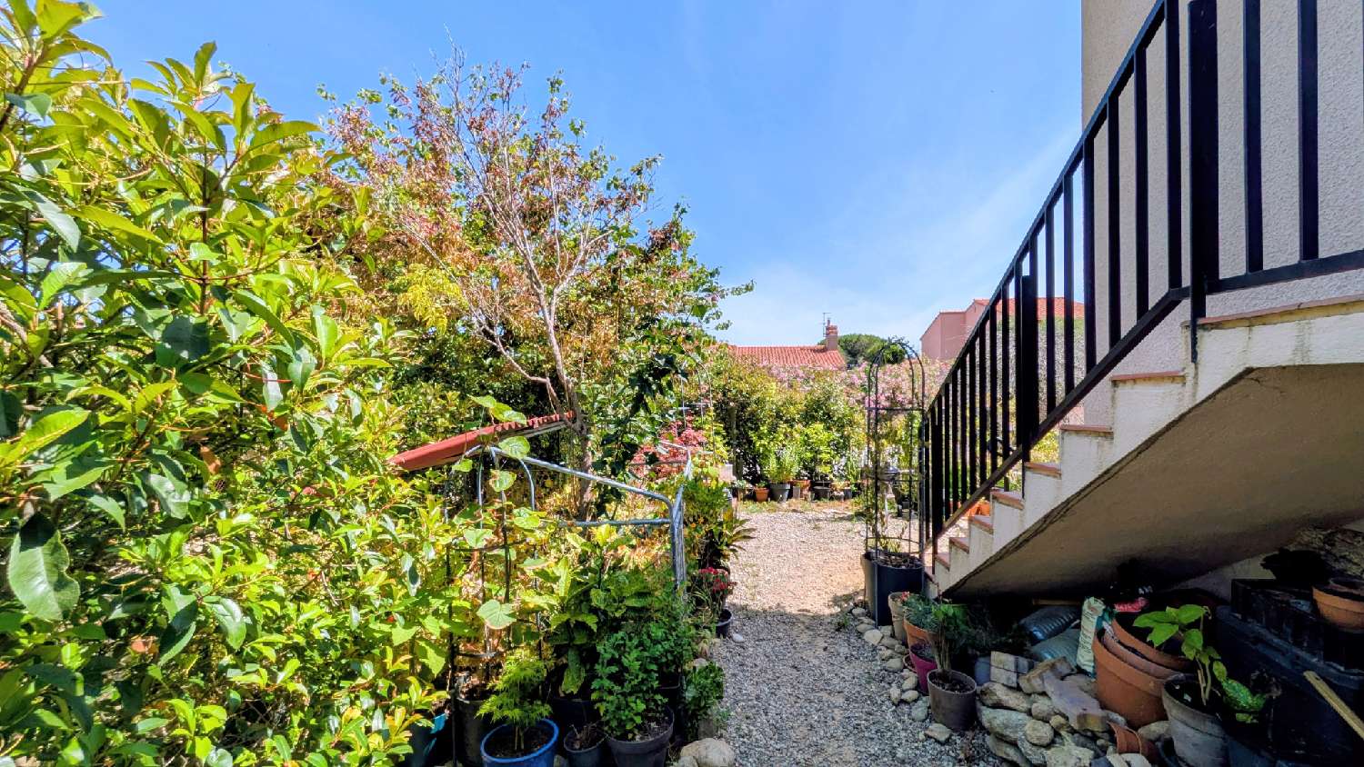 te koop appartement Sorède Pyrénées-Orientales 5