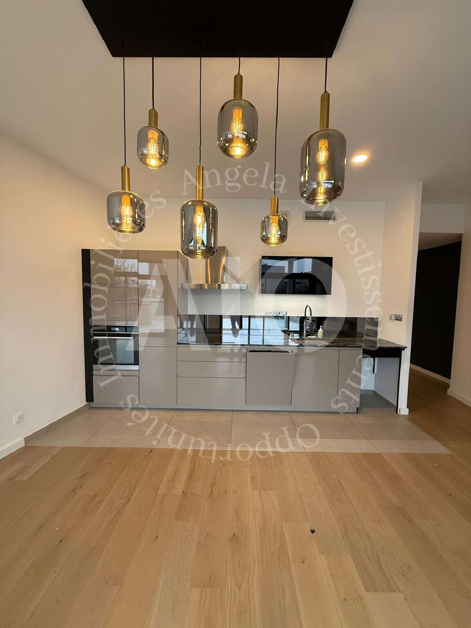 for sale apartment Tassin-la-Demi-Lune Rhône 3