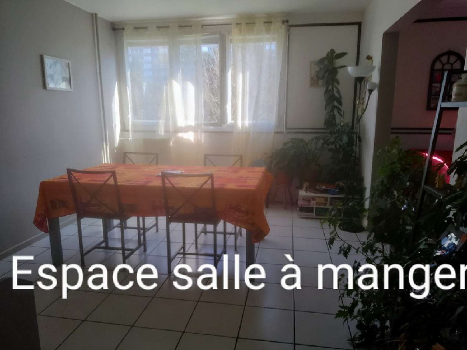 te koop appartement Terrenoire Loire 8