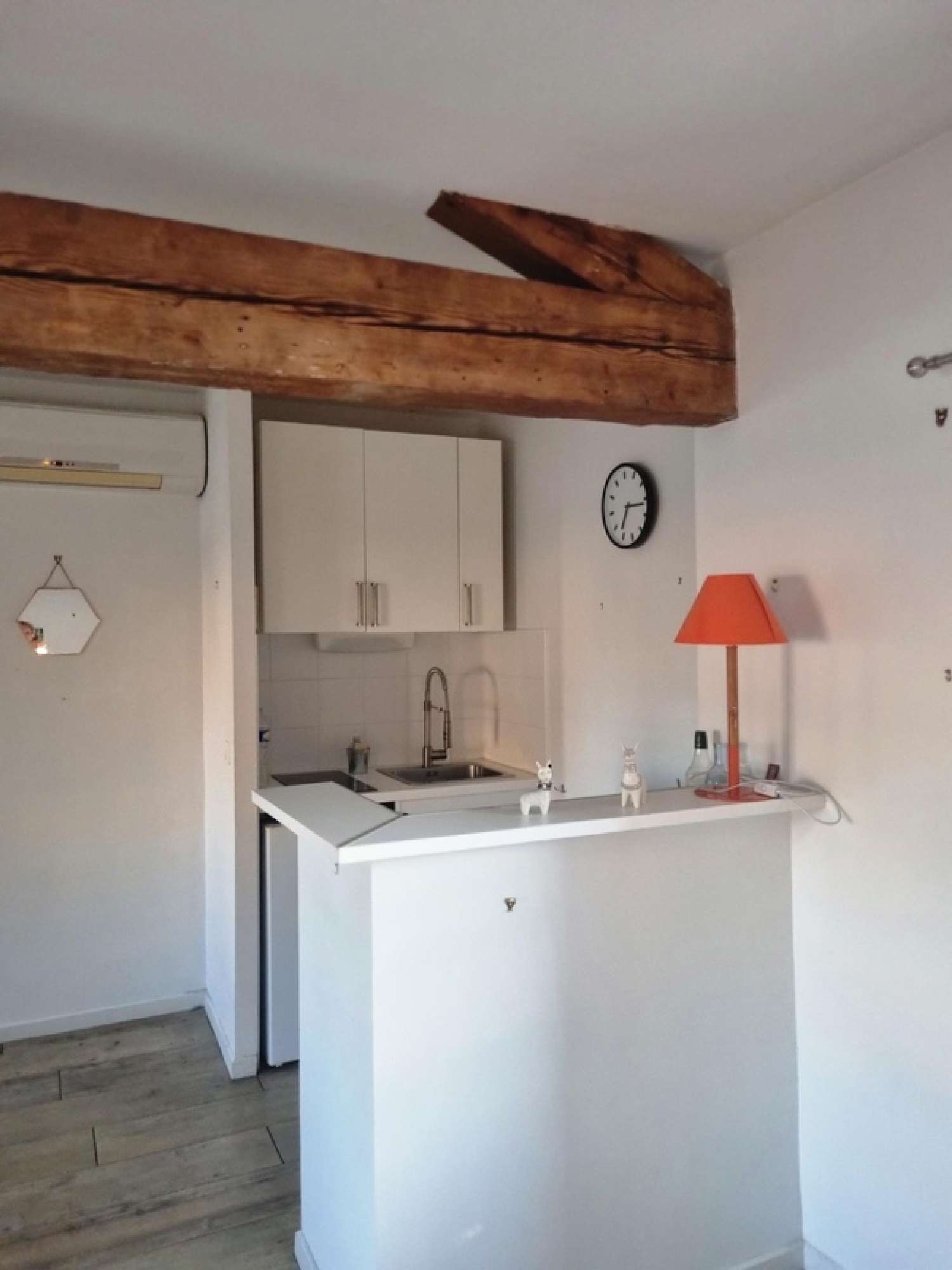  te koop appartement Toulouse Haute-Garonne 8