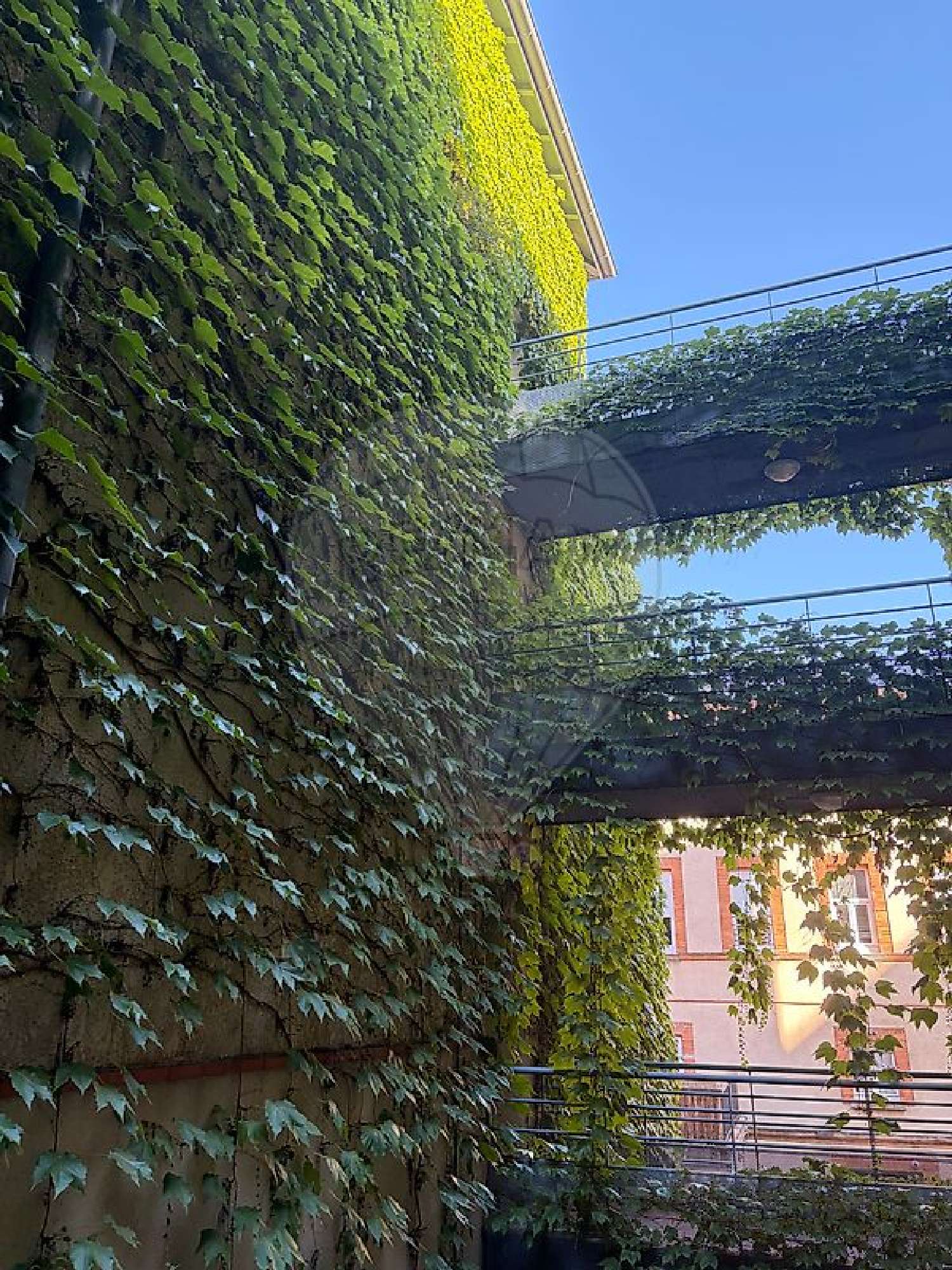 à vendre appartement Toulouse Haute-Garonne 1