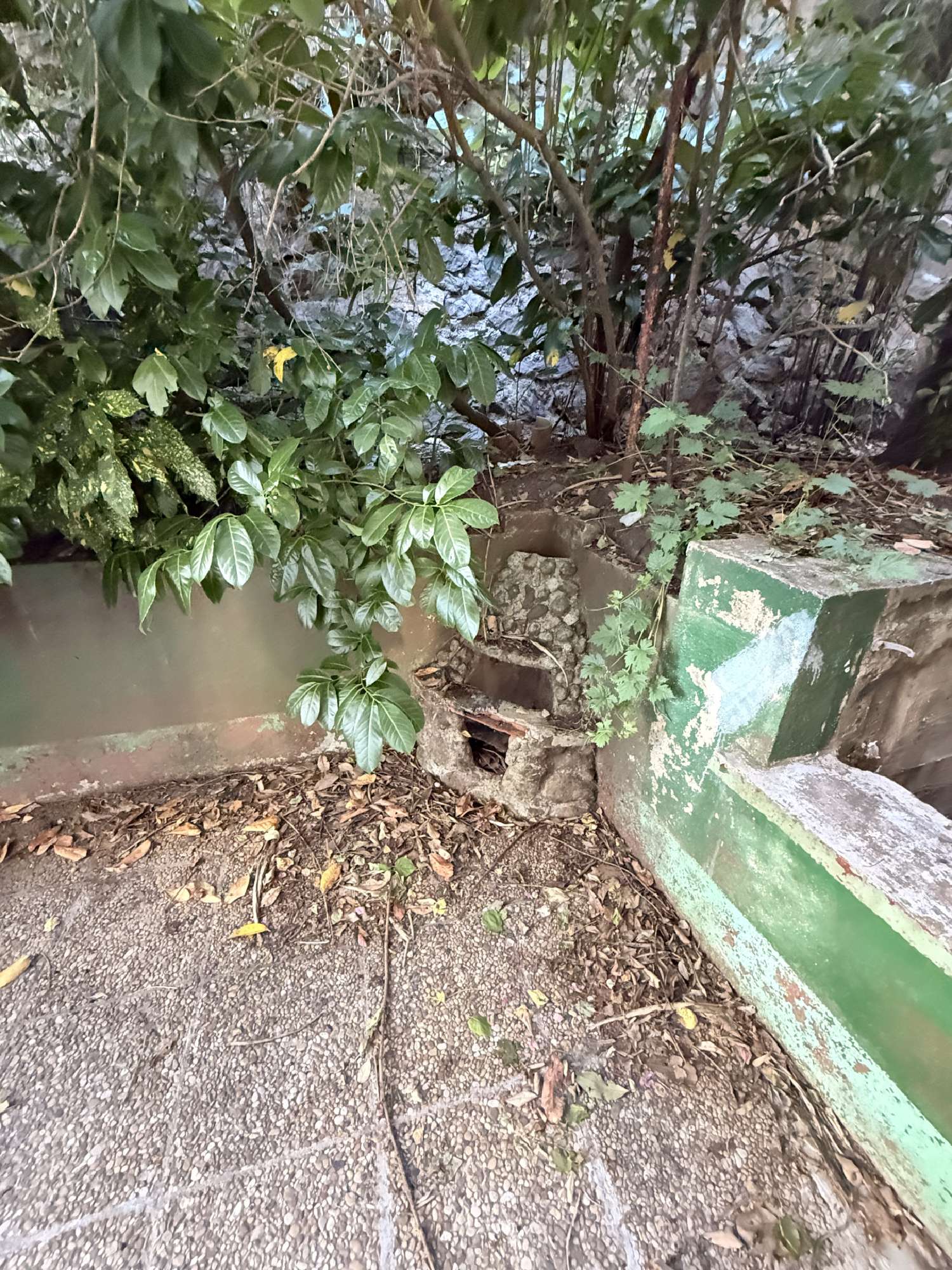  te koop appartement Vals-les-Bains Ardèche 3
