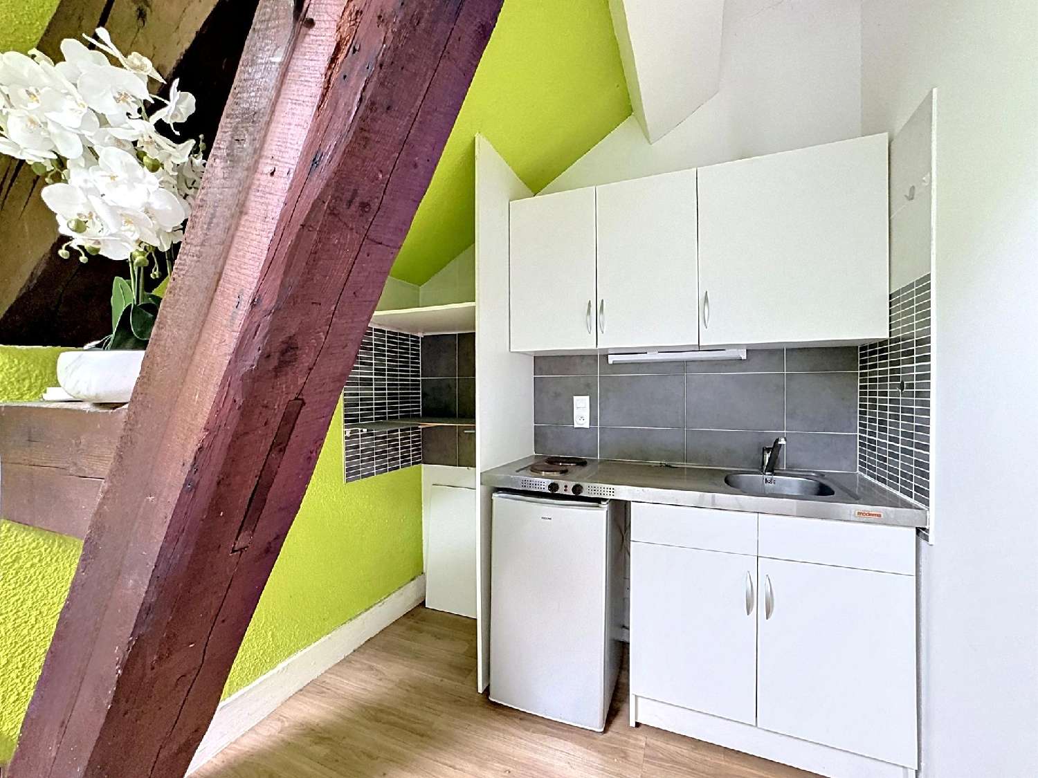  kaufen Wohnung/ Apartment Vaulnaveys-le-Haut Isère 2