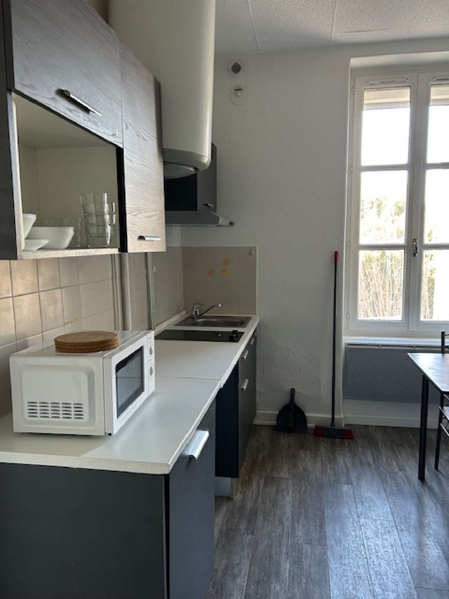 te koop appartement Villeurbanne Rhône 3