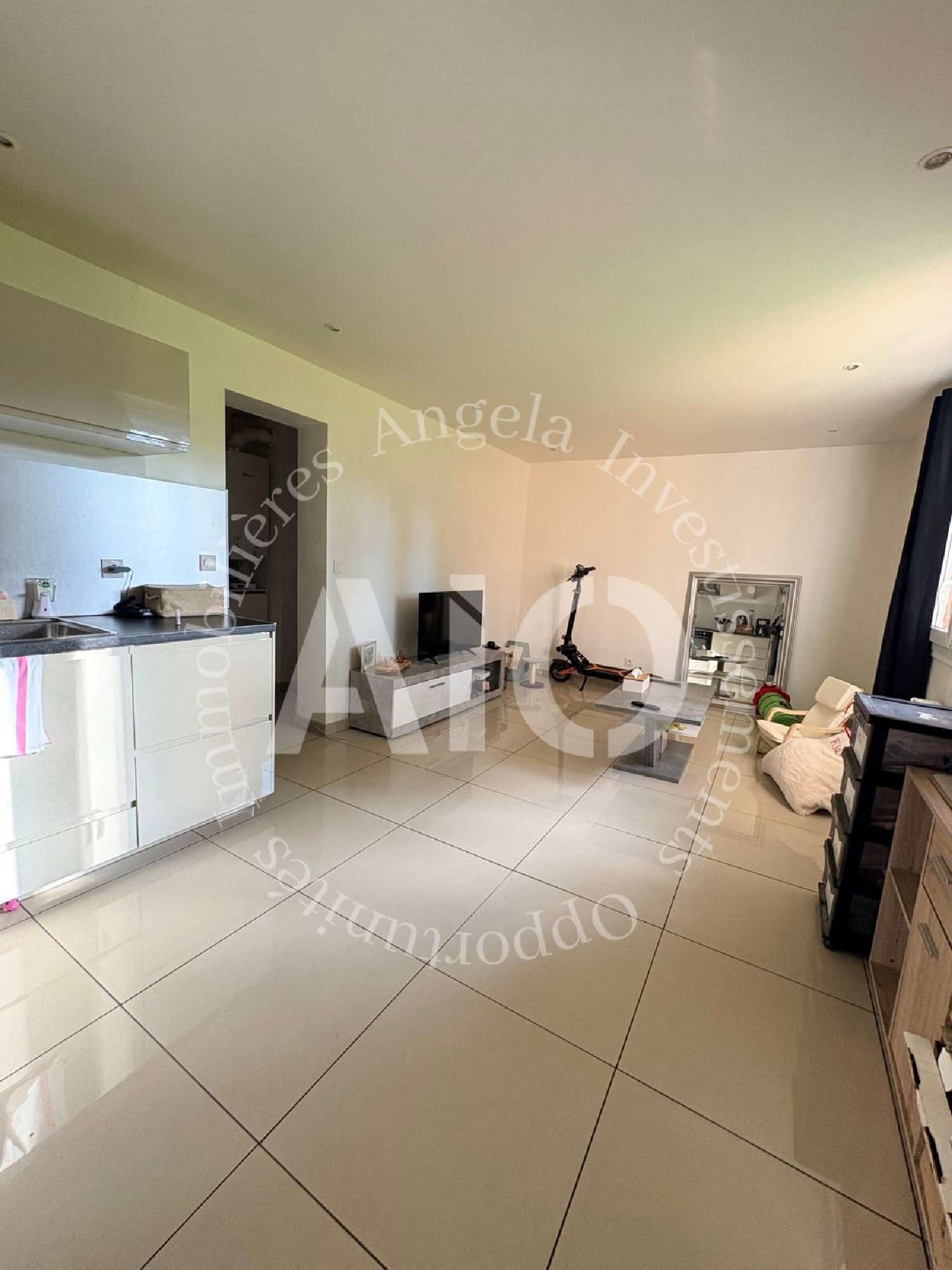  te koop appartement Villeurbanne Rhône 4