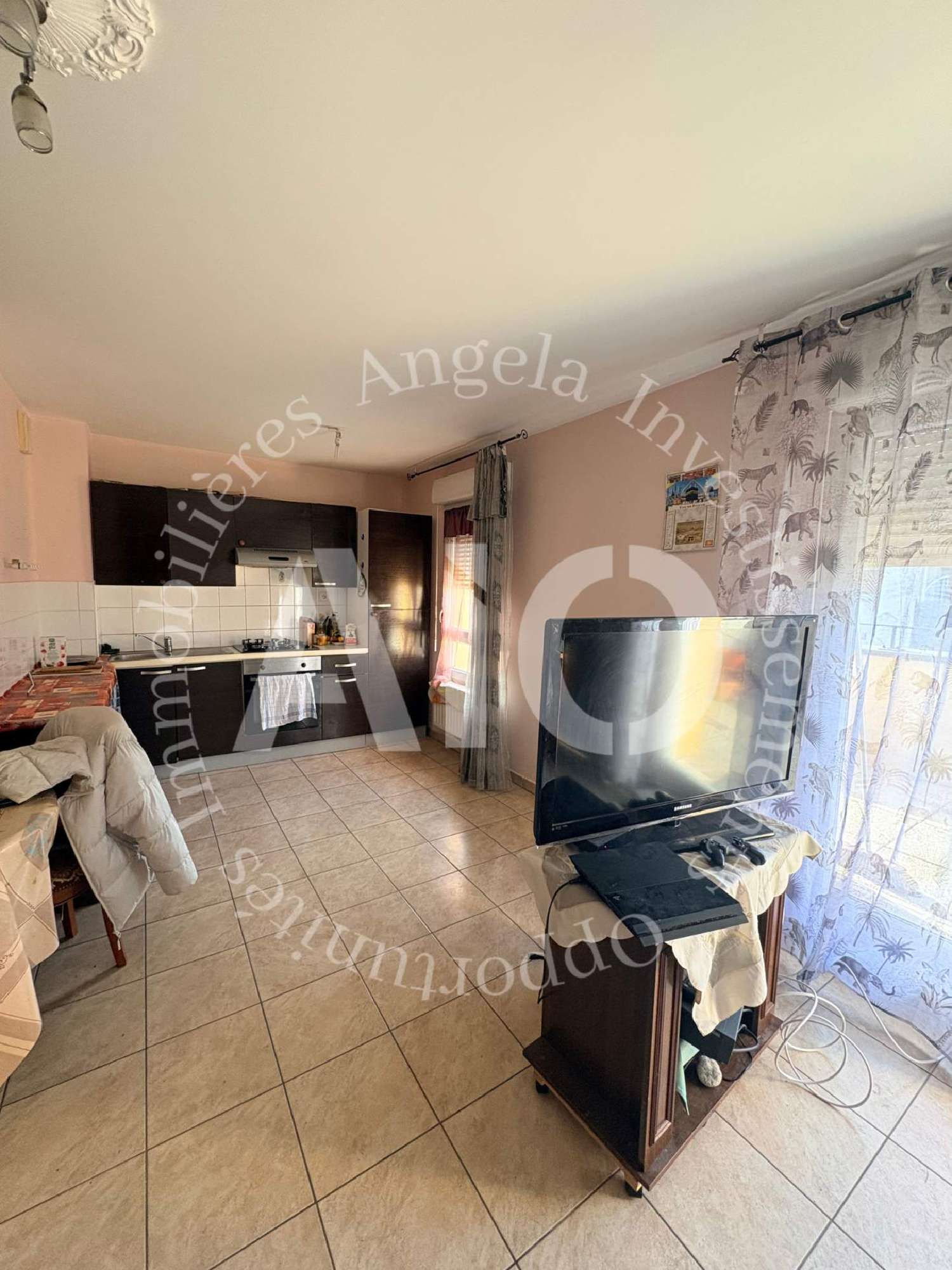 te koop appartement Villeurbanne Rhône 3