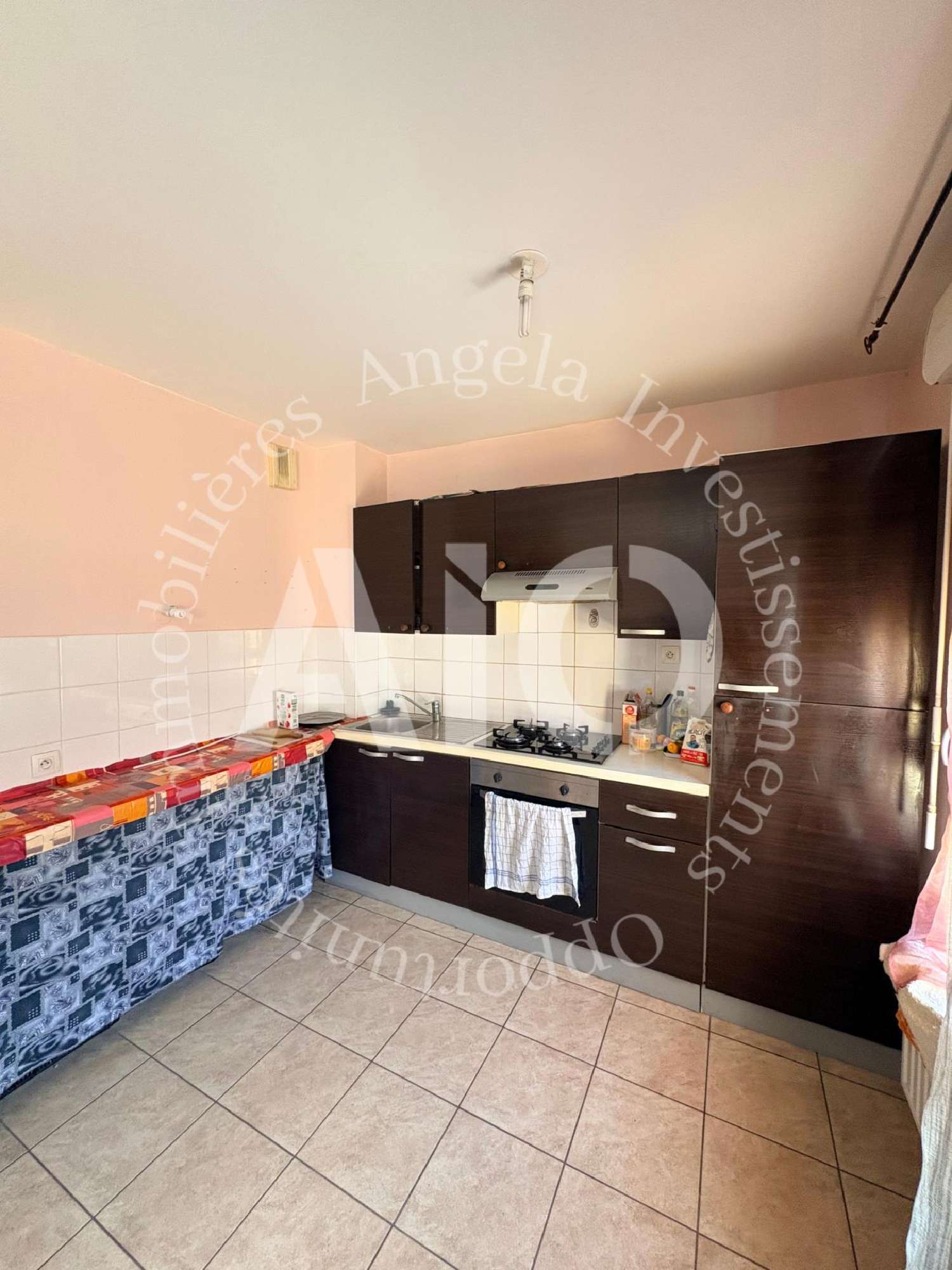 te koop appartement Villeurbanne Rhône 5