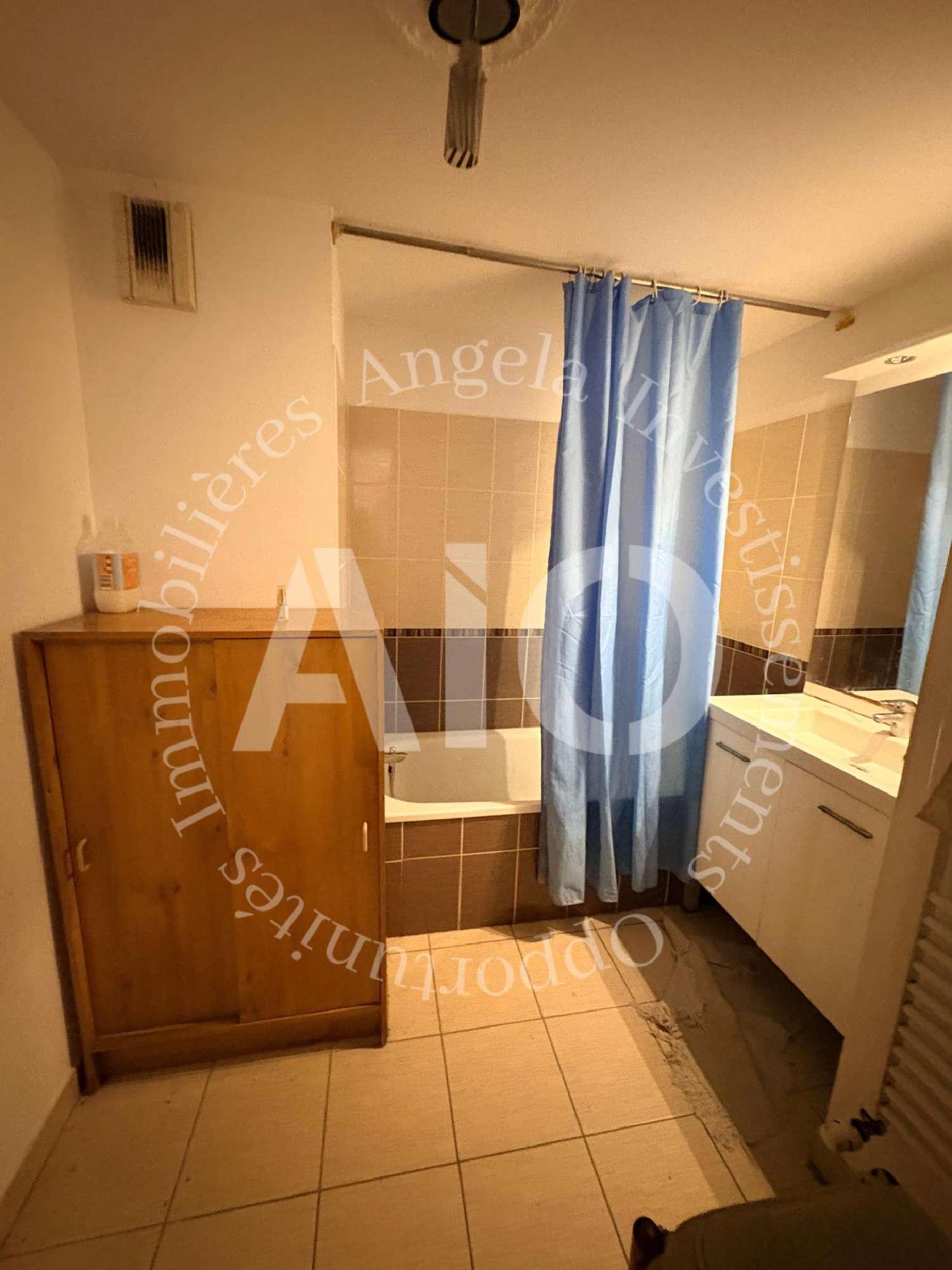 te koop appartement Villeurbanne Rhône 8