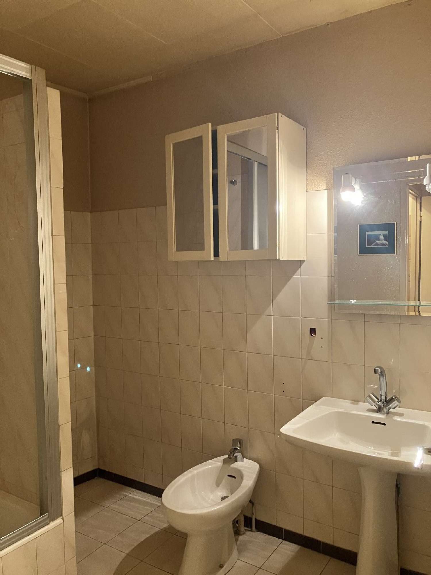 for sale apartment Villeurbanne Rhône 6