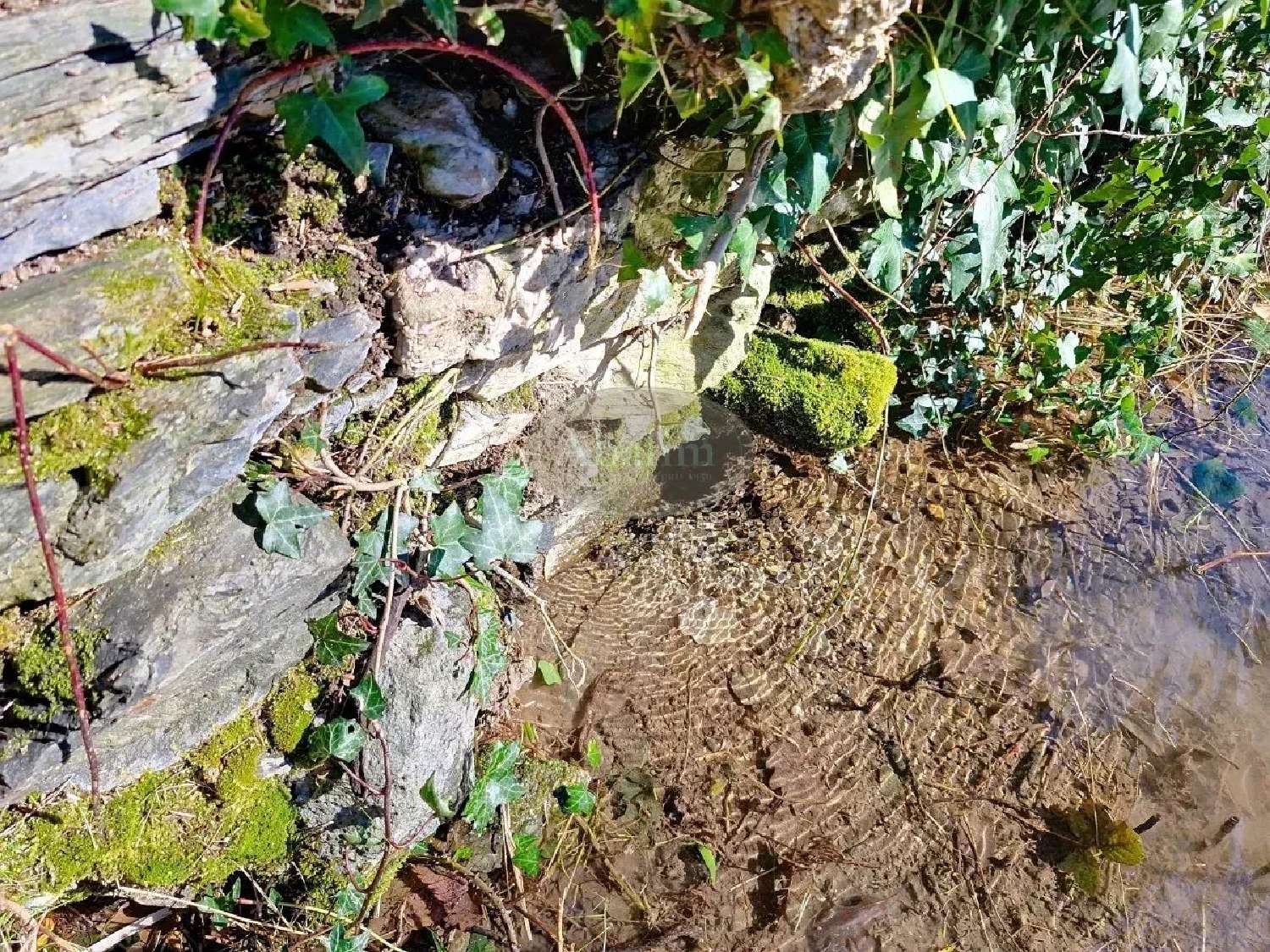 en venta granero Argelès-Gazost Hautes-Pyrénées 4