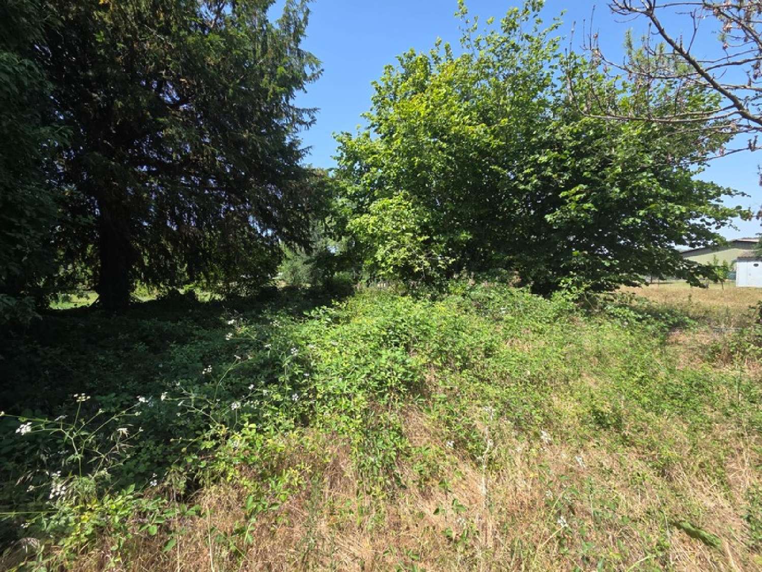  à vendre grange Chas Puy-de-Dôme 6